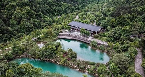 爱丽芬