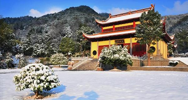 爱丽芬