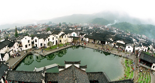 爱丽芬