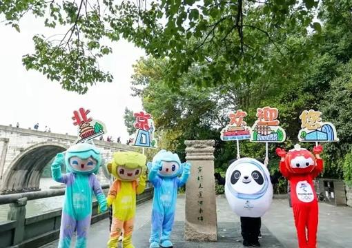 爱丽芬